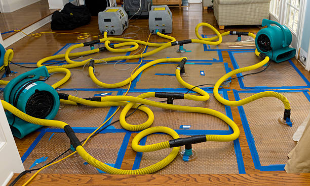 Professional Sewage Cleanup technician working in Little Elm, TX